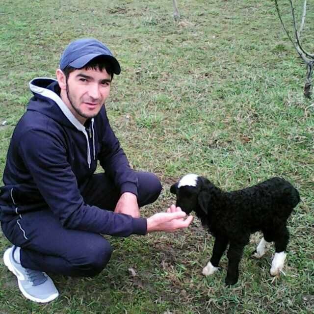 ���� 11929952 ������� ������, 41 ���, ���� ���������� � ������