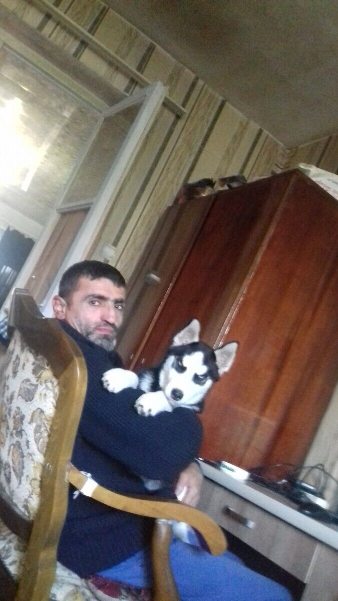 ���� 21552232 ������� Guga, 48 ���, ���� ���������� � �������