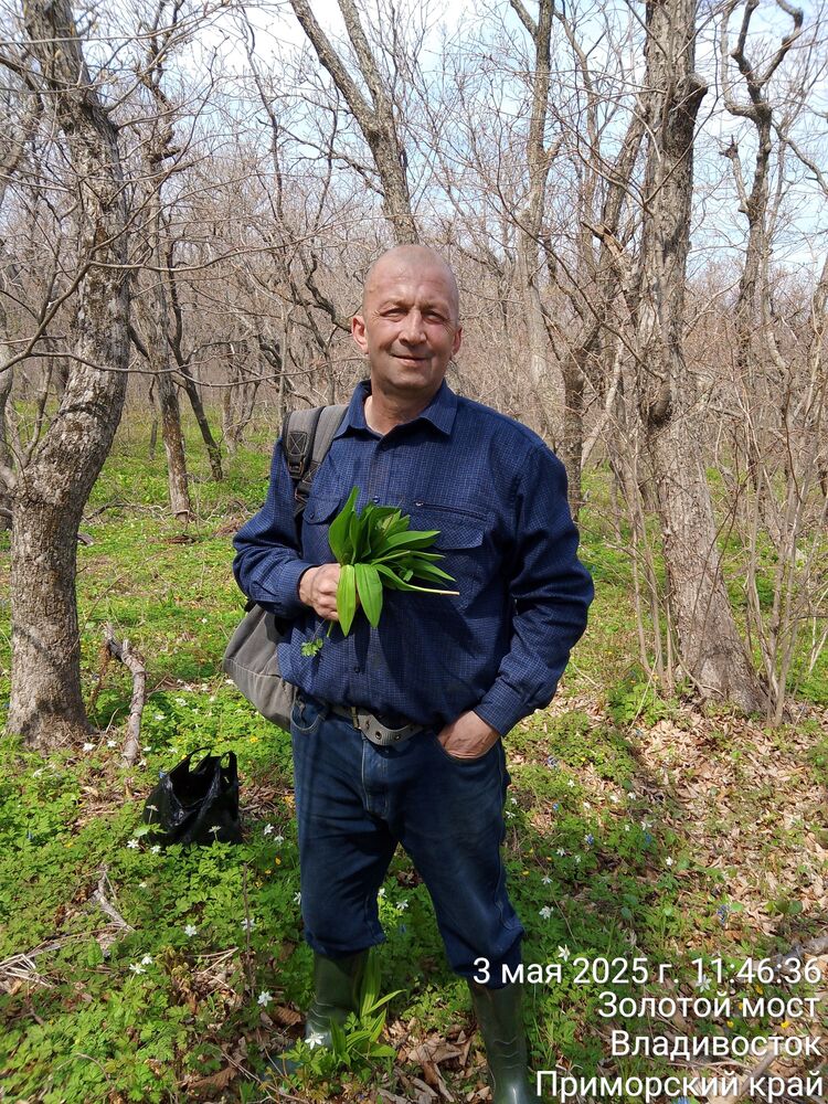 ���� 51429232 ������� ����, 54 ����, ���� ���������� � ������������