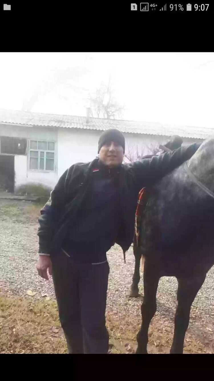  46955042   , 45 ,    