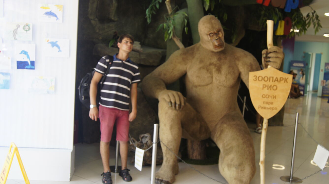 ���� 37297192 ����� ������, 23 ����, ���� ���������� � ������