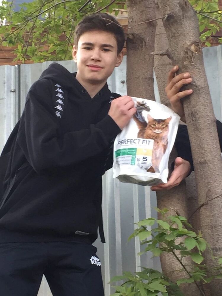 ���� 41860972 ����� �����, 19 ���, ���� ���������� � ������������