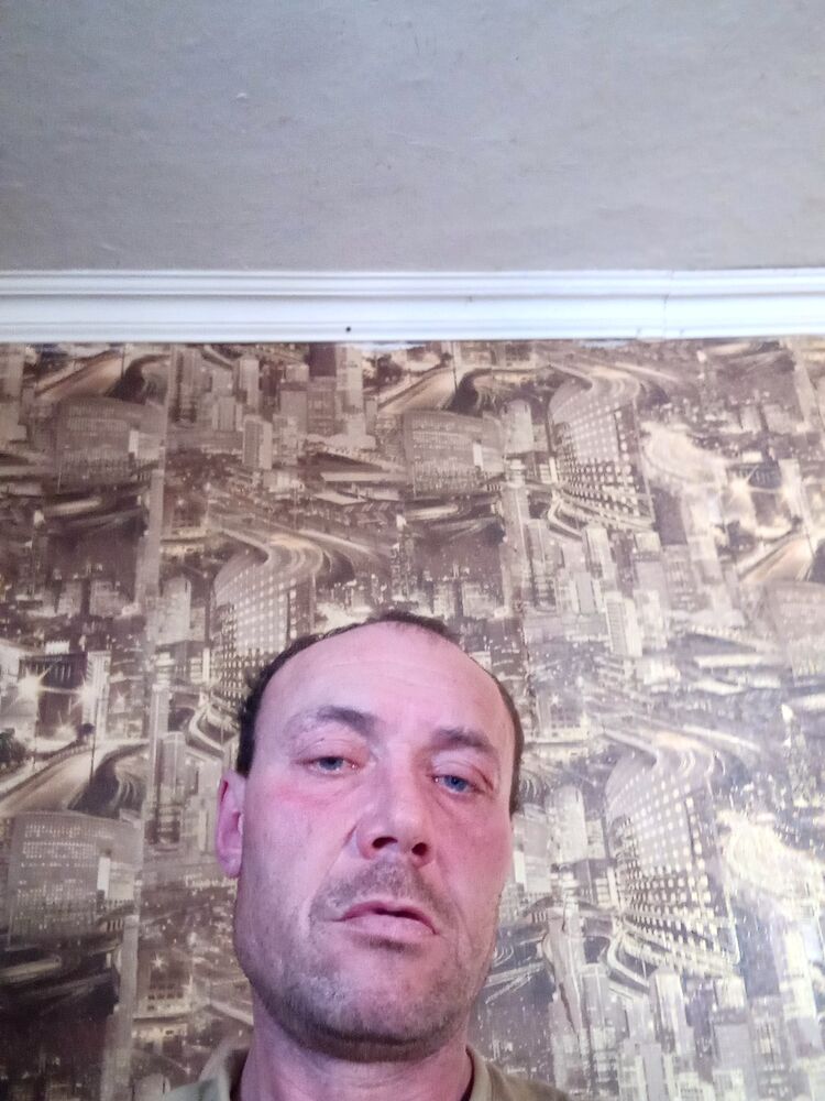  31156842  , 50 ,    