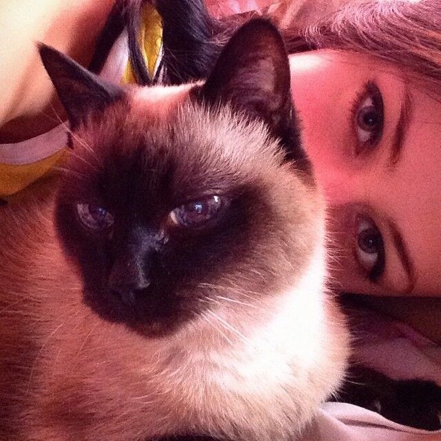 ���� 7326542 ������� ����, 43 ����, ���� ���������� � ������