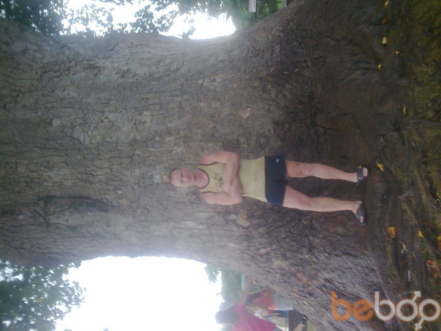 ���������� ���������, ���� ������� ���������, 44 ����, ������������ ��� ������, ����� � ���������, c�������� ���������