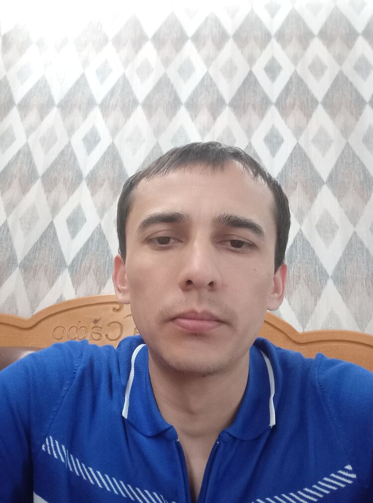  43623062  , 33 ,    