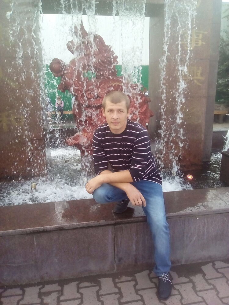  8683162  , 41 ,    