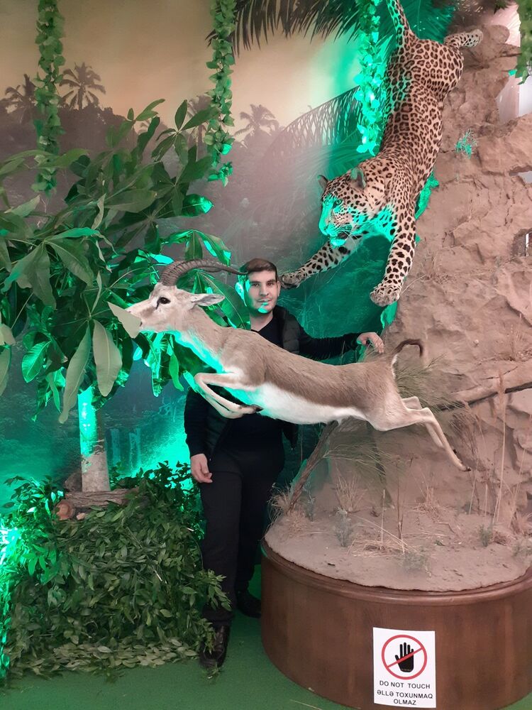 ���������� ����, ���� ������� Elvin, 39 ���, ������������ ��� ������, ����� � ���������, c�������� ���������