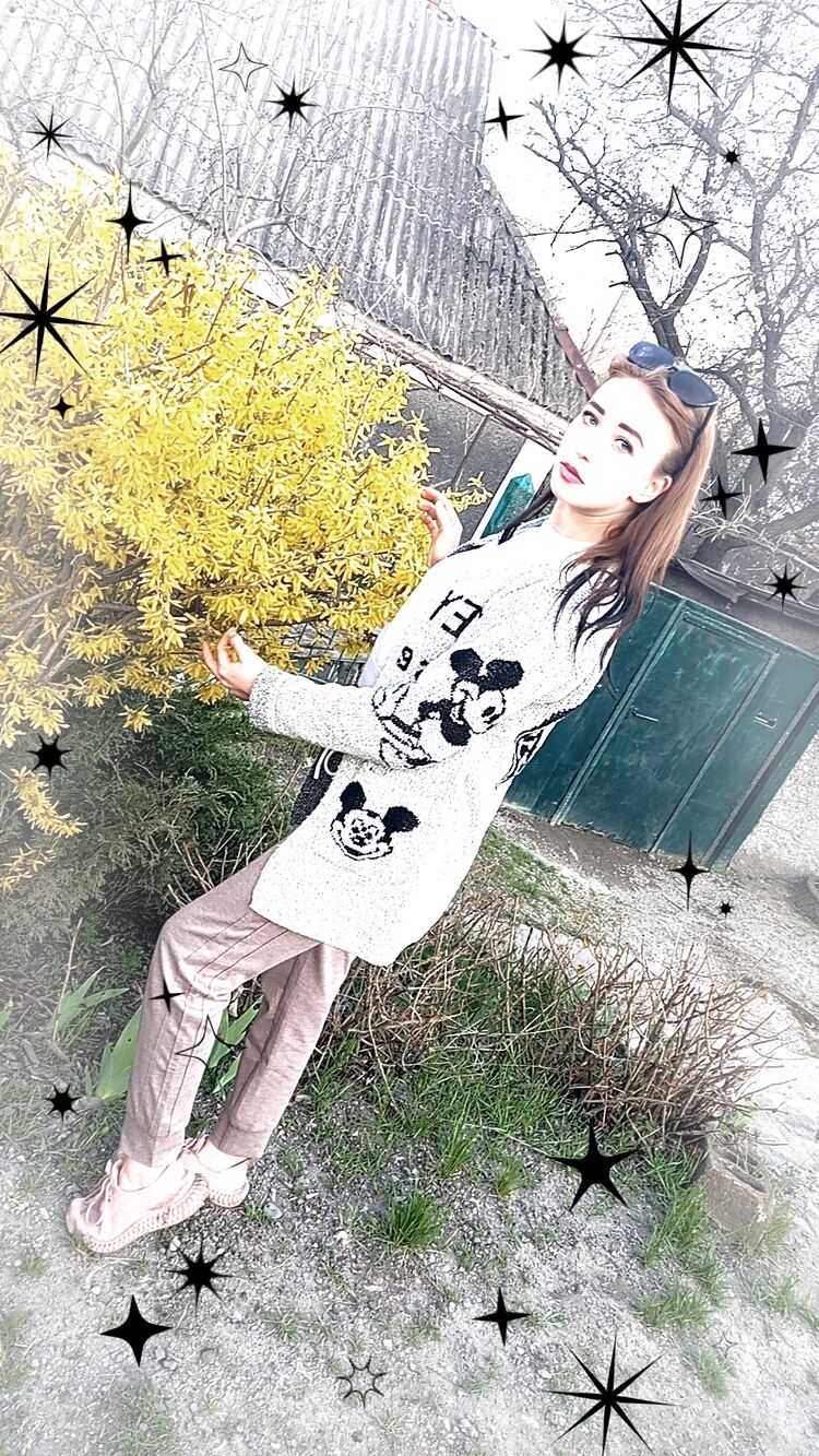 ���������� ��������, ���� ������� �������, 23 ����, ������������ ��� ����� � ���������