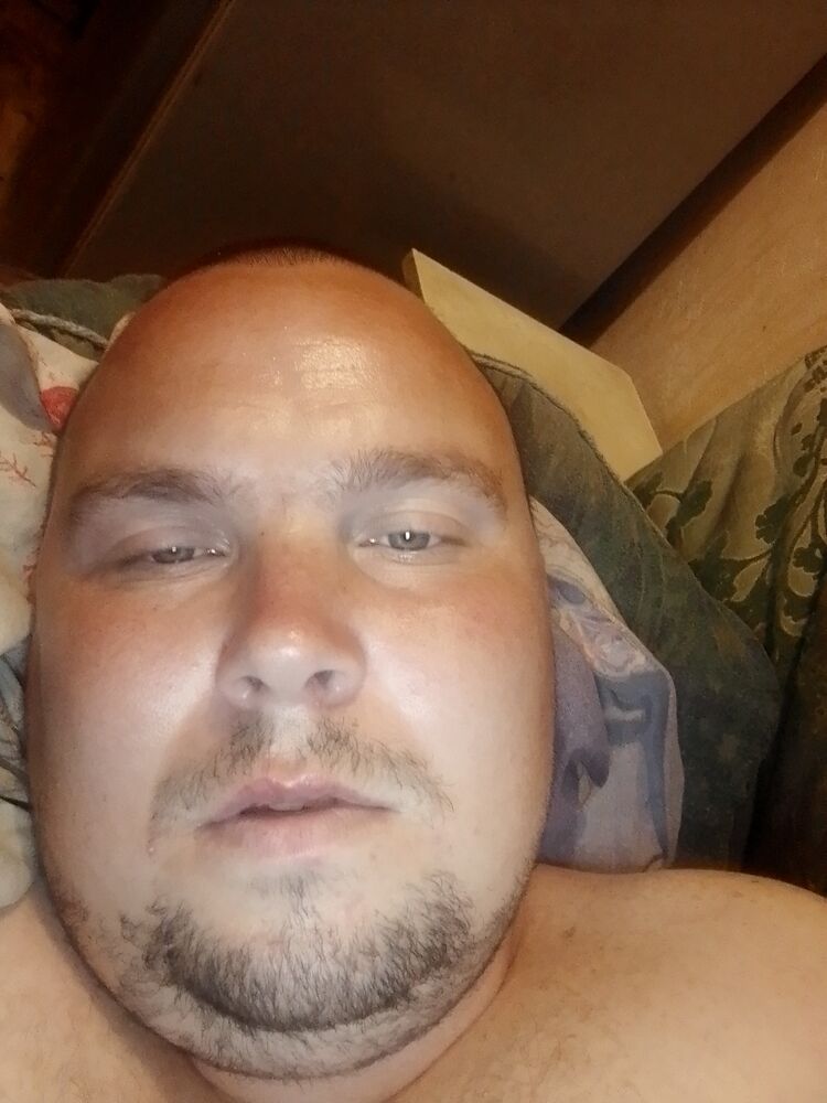  28735252  , 31 ,    