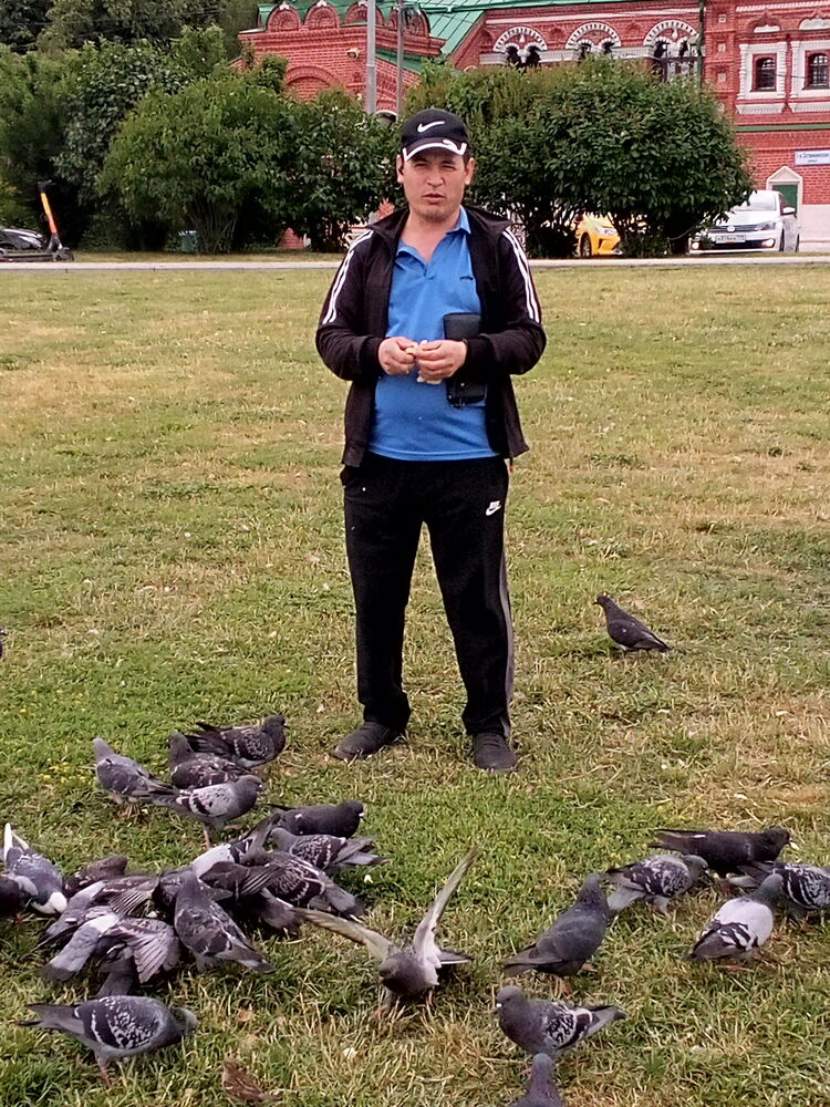 ���� 39887842 ������� ������, 44 ����, ���� ���������� � ������