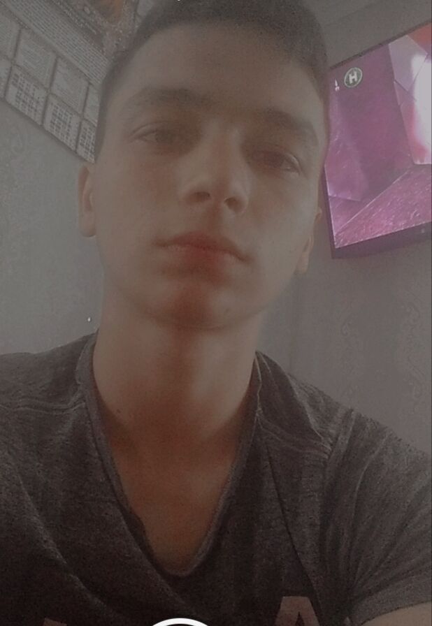  26511432  , 21 ,    