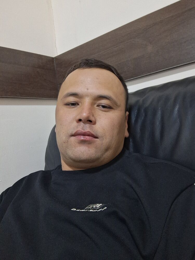  47969872  , 31 ,    -