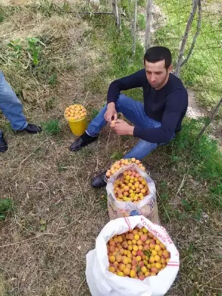 ���� 26401262 ������� �����, 34 ����, ���� ���������� � ������