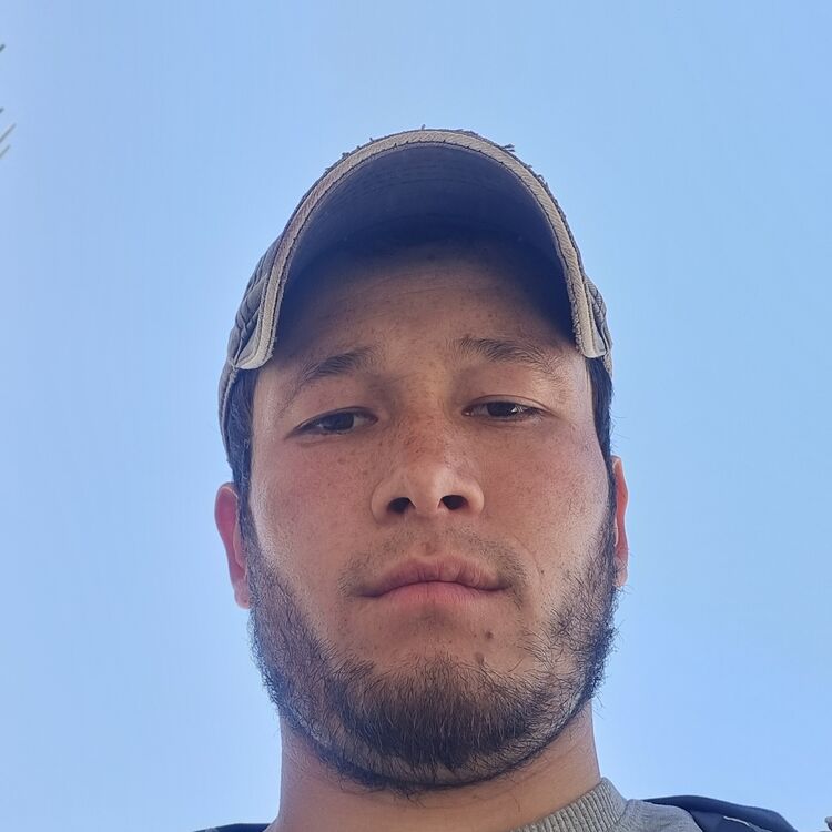 ���� 43354782 ������� UTKIR, 28 ���, ���� ���������� � �����-����������