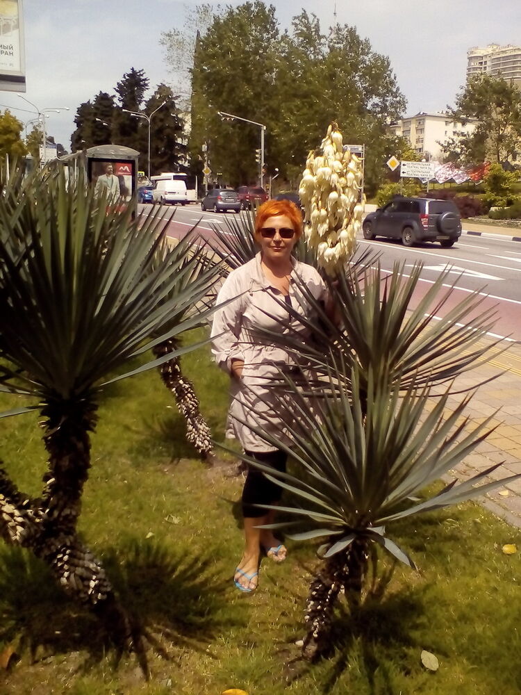 ���� 7532282 ������� ������, 44 ����, ���� ���������� � ����������