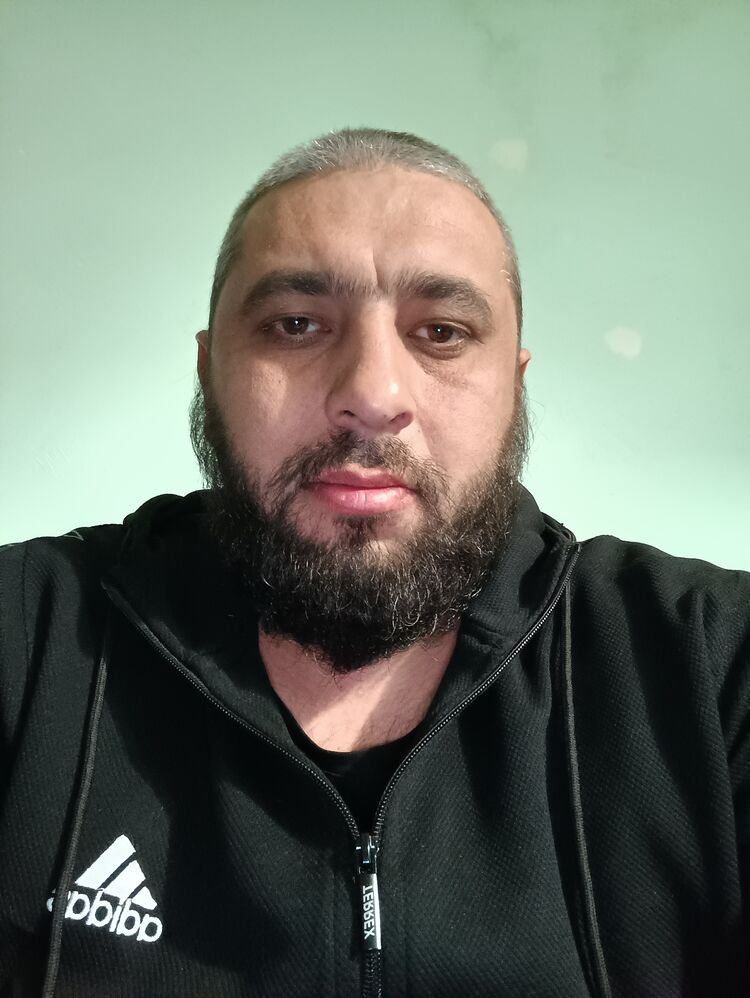  33753582  , 37 ,    