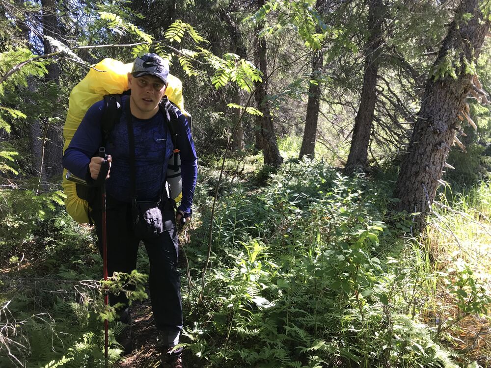 ���������� ���������, ���� ������� �������, 33 ����, ������������ ��� c�������� ���������