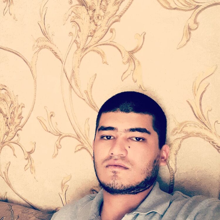 ���� 25078852 ������� AVANGER, 34 ����, ���� ���������� � ��������