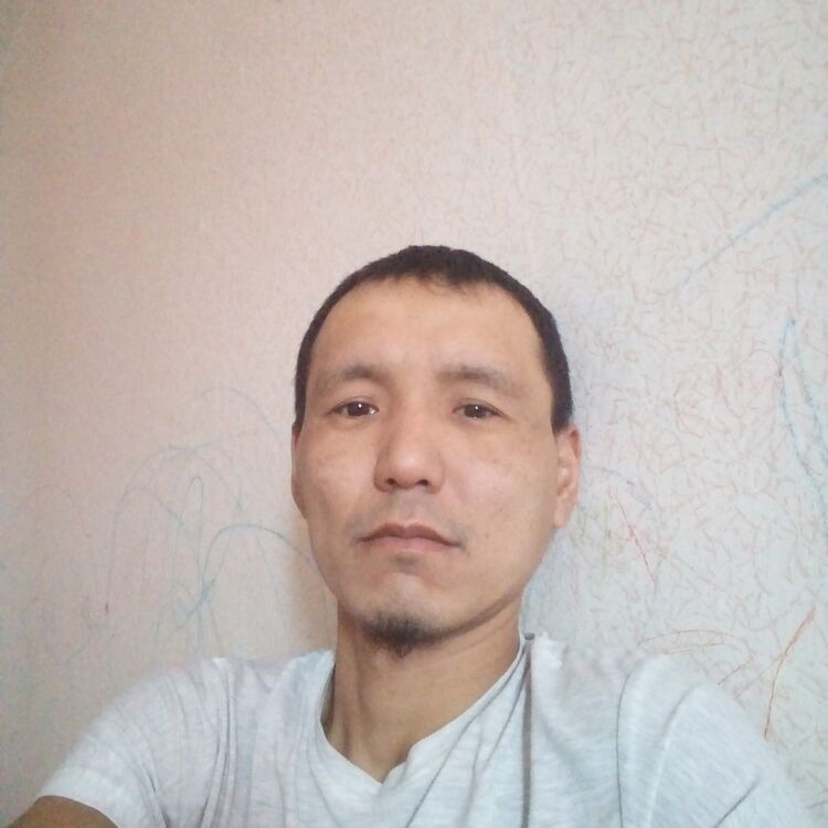  18489722  , 41 ,    