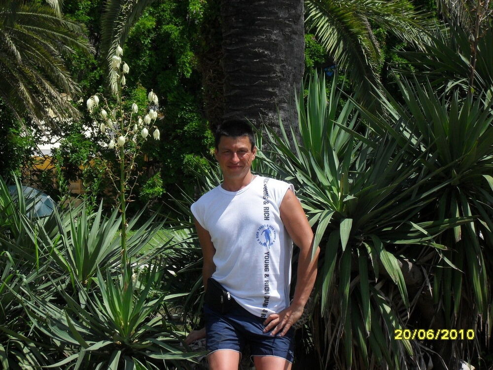  ,   , 55 ,  
