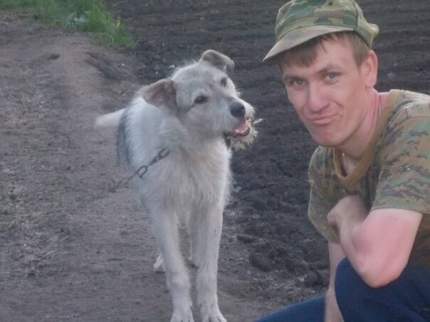 ���������� ���������, ���� ������� ������, 36 ���, ������������ ��� ������, ����� � ���������, c�������� ���������