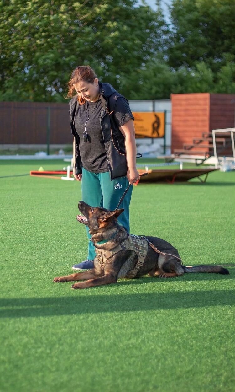 ���������� ���������, ���� ������� ��������, 34 ����, ������������ ��� ������, ����� � ���������, c�������� ���������, ���������