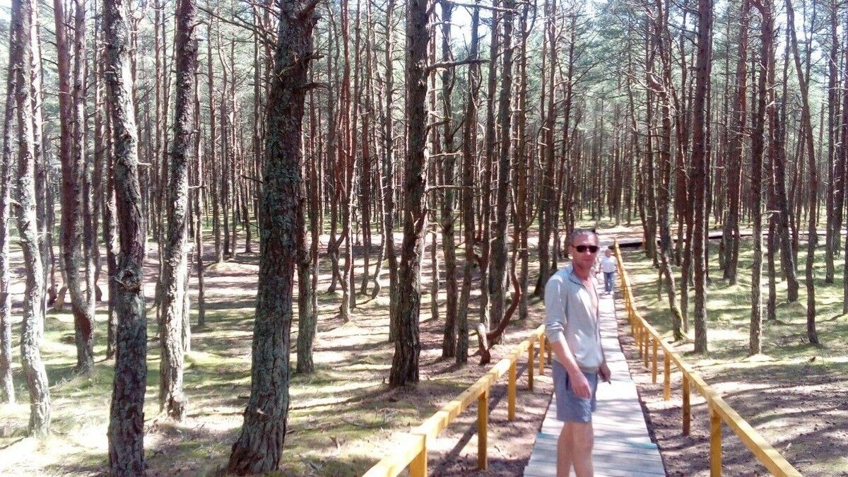 ���������� �����������, ���� ������� ������, 34 ����, ������������ ��� ������, ����� � ���������, c�������� ���������