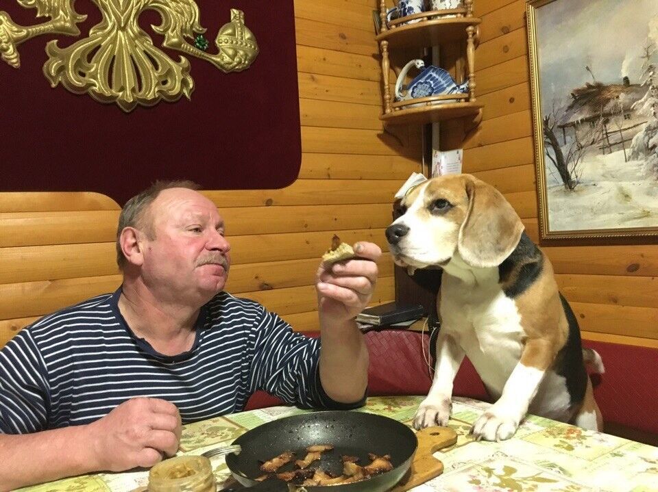  ,   , 66 ,   