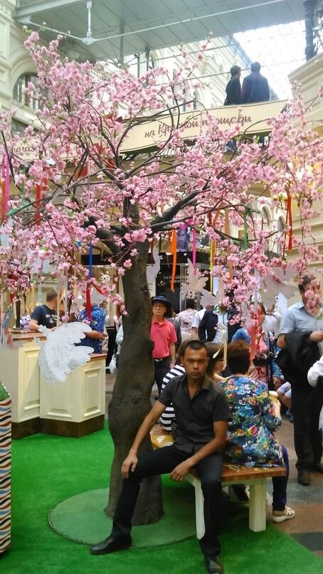 ���������� ������, ���� ������� ����, 40 ���, ������������ ��� ������, ����� � ���������, c�������� ���������