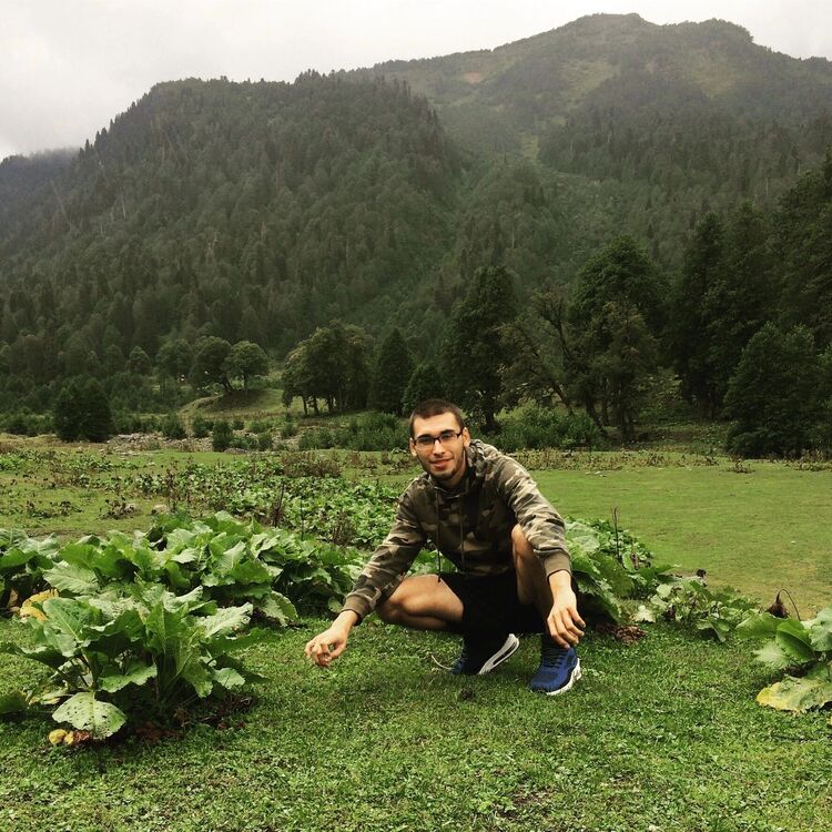 ���� 42343262 ������� �������, 29 ���, ���� ���������� � ��������