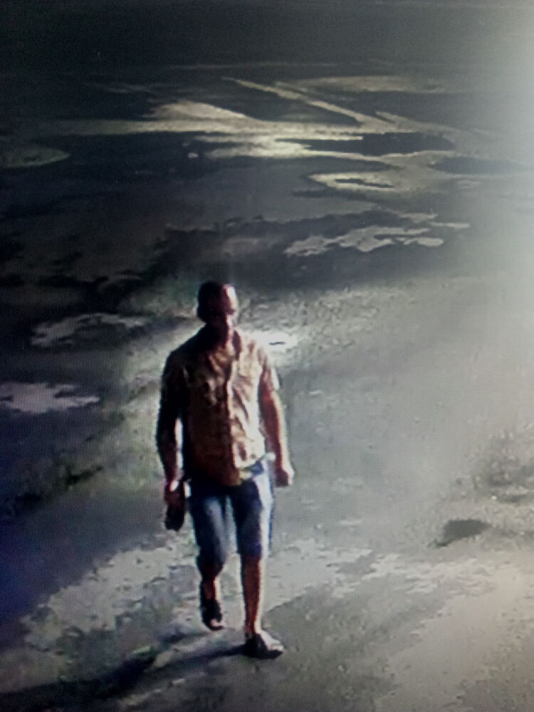  29447282  , 51 ,    