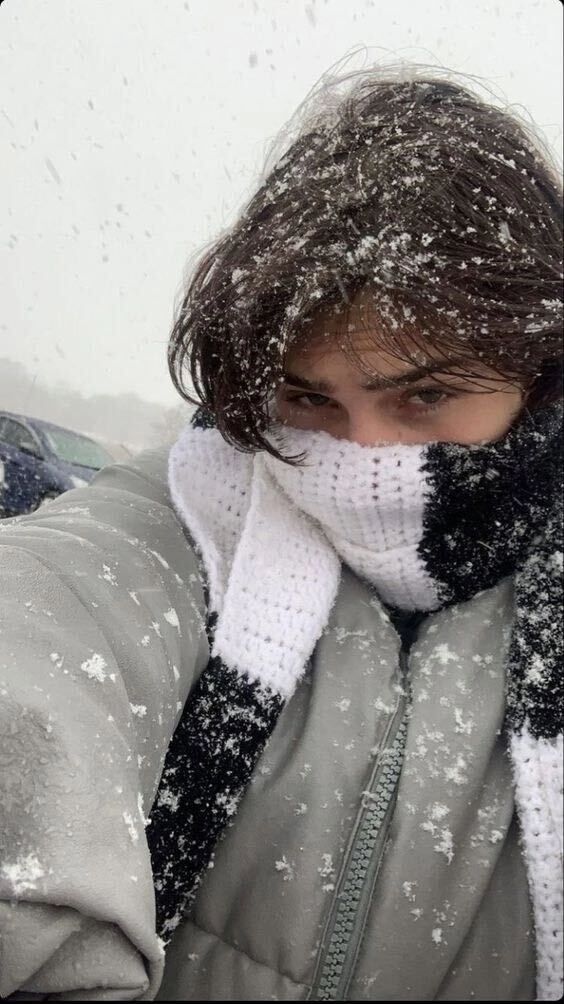 ���������� ��������, ���� ����� �������, 22 ����, ������������ ��� ������, ����� � ���������