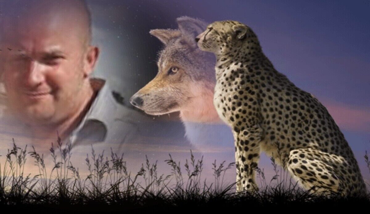 ���������� ������, ���� ������� �������, 36 ���, ������������ ��� ������, ����� � ���������, c�������� ���������