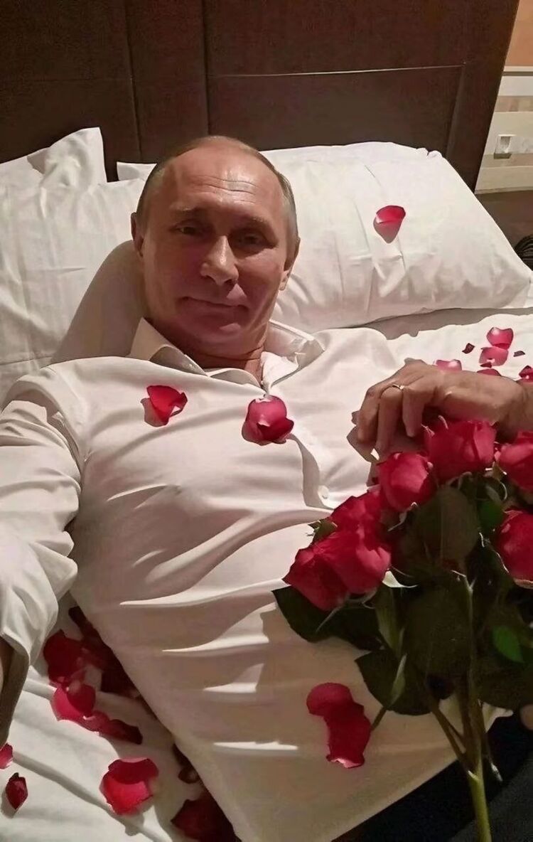  48185732  , 19 ,    