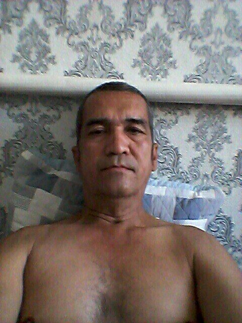  34683282  , 51 ,    