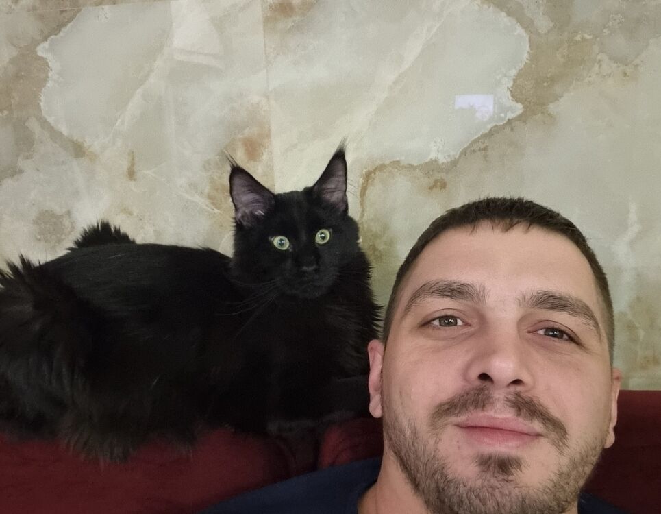  28172332  Viktor, 36 ,    