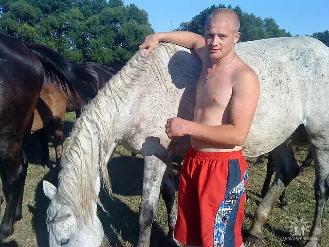 ���������� ������, ���� ������� �������, 43 ����, ������������ ��� ������, ����� � ���������, c�������� ���������, ���������