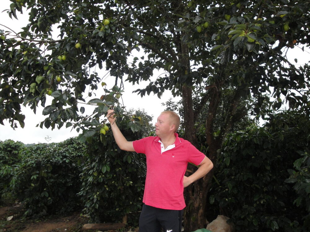 ���� 7968012 ������� ���������, 40 ���, ���� ���������� � �������������