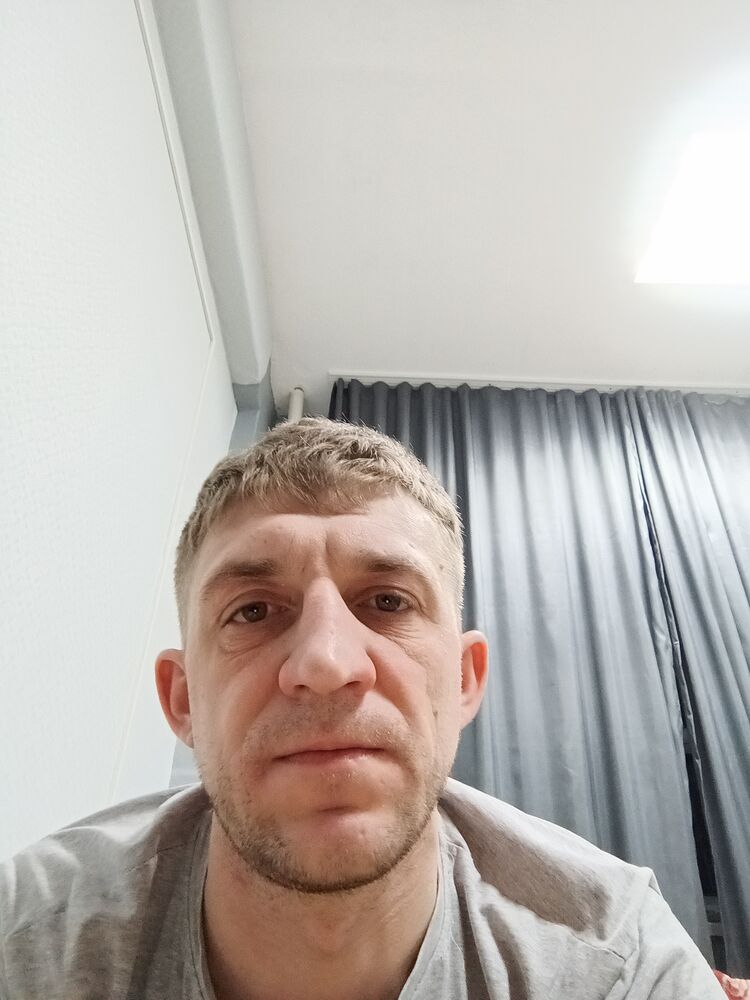  41118532  , 37 ,    -