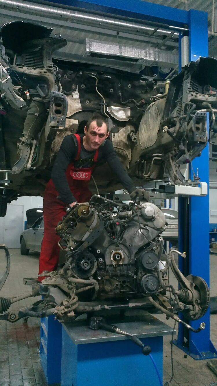 ���� 31021802 ������� Alexander, 41 ���, ���� ���������� � ����������