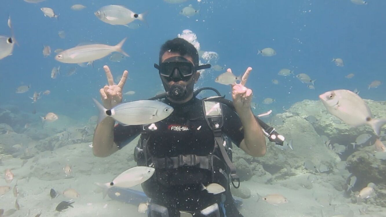 ���������� ������, ���� ������� UFUK, 31 ���, ������������ ��� ������, ����� � ���������