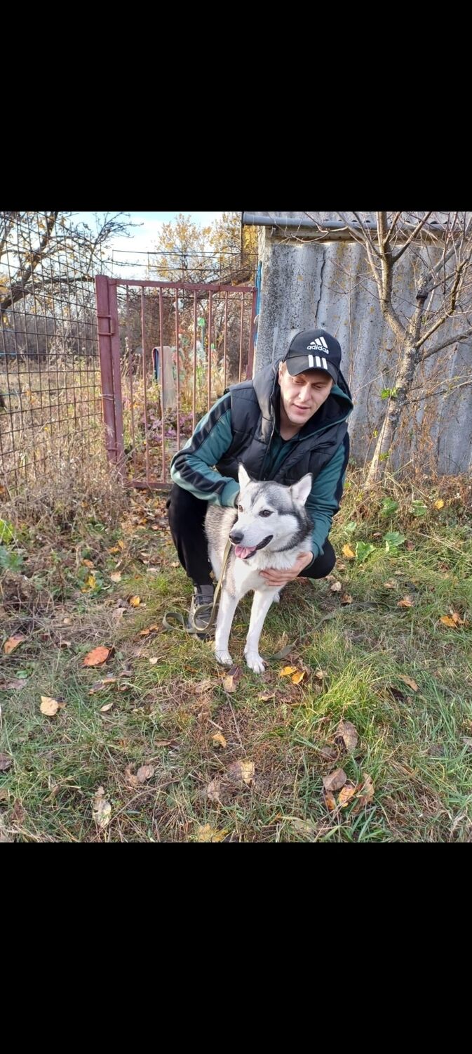 ���������� ���������, ���� ������� �������, 41 ���, ������������ ��� ������, ����� � ���������, c�������� ���������