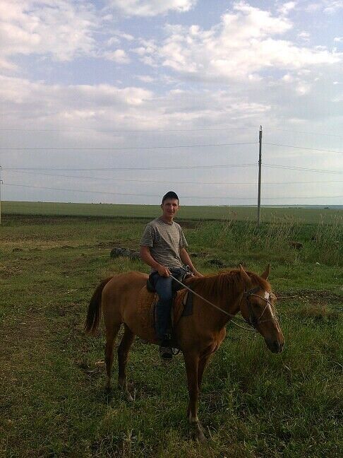  ,   , 37 ,     , c , 