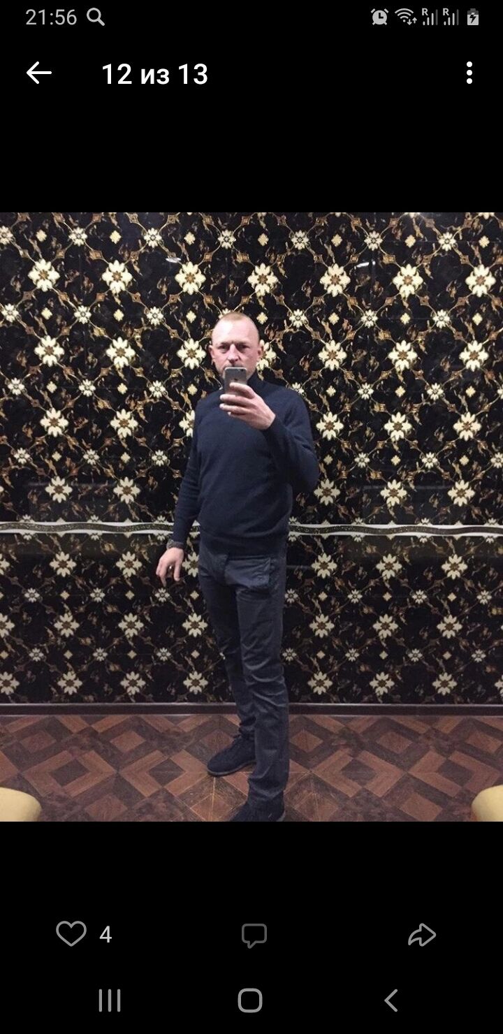  31319332  , 44 ,    