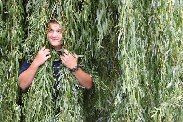  7995832  Andrew, 31 ,    