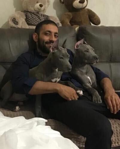 ���� 56248832 ������� ����, 32 ����, ���� ���������� � ������