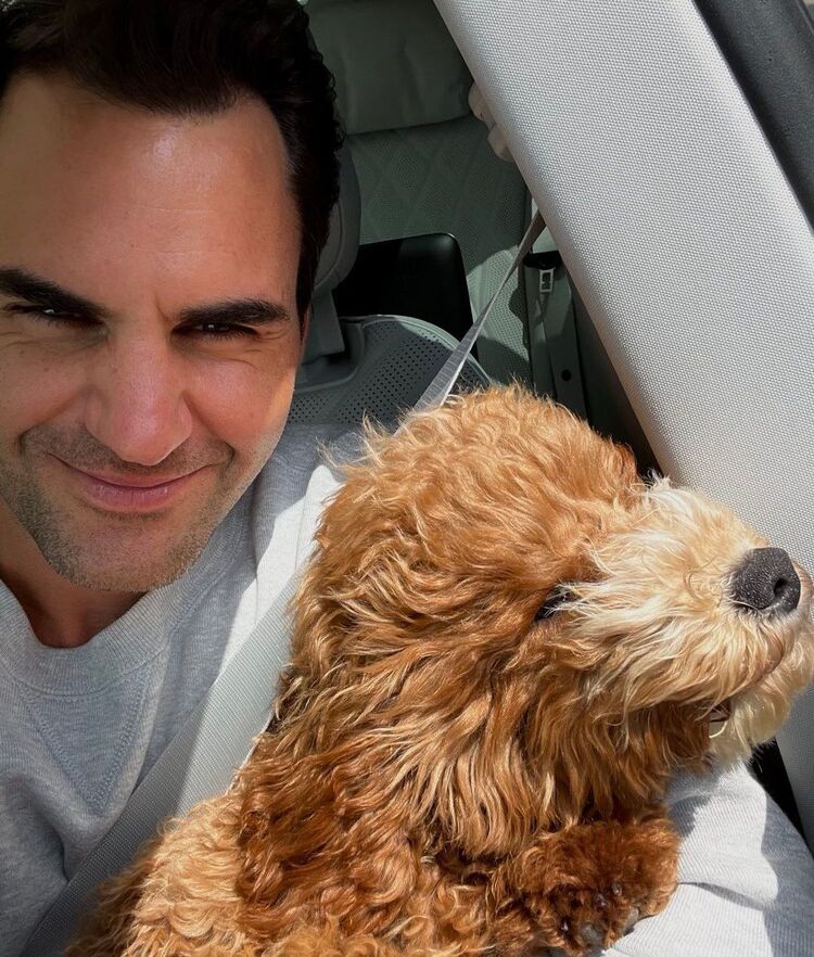 ���������� ������, ���� ������� ������, 61 ���, ������������ ��� ������, ����� � ���������, c�������� ���������, ���������