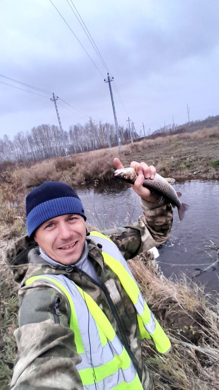 ���� 55390602 ������� �����, 37 ���, ���� ���������� � ���������