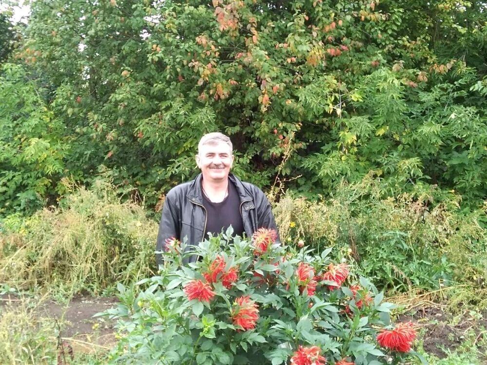 ���������� �����, ���� ������� �������, 53 ����, ������������ ��� ����� � ���������, c�������� ���������